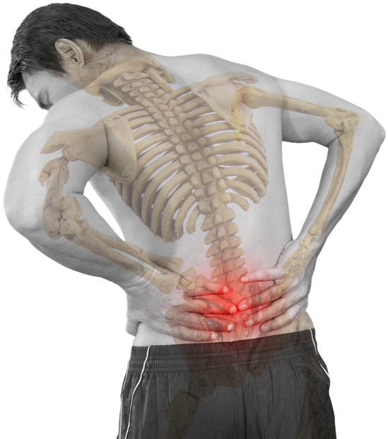 Chiropractor for Lower Back Pain | Back Pain Chiropractor
