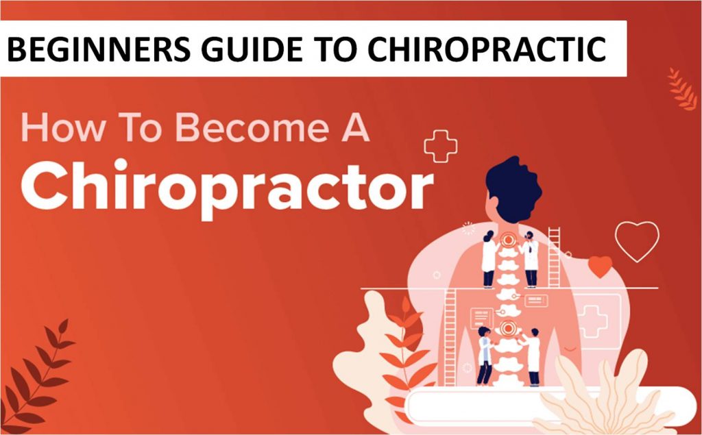 How to Become a Chiropractor